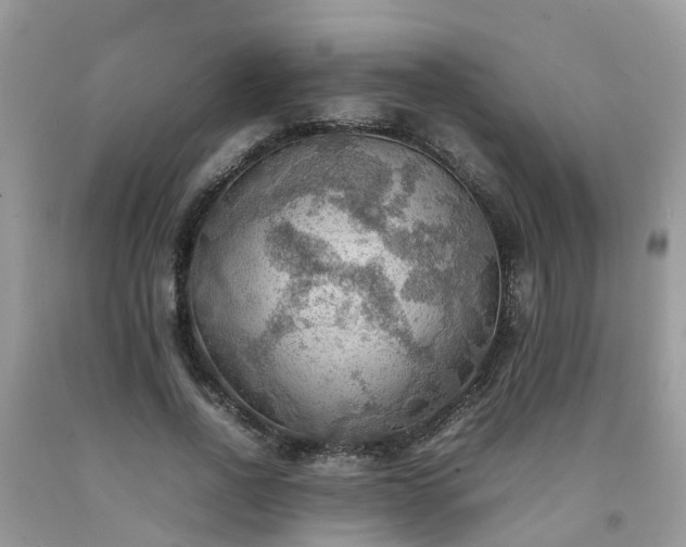 X0000092050734200709191120