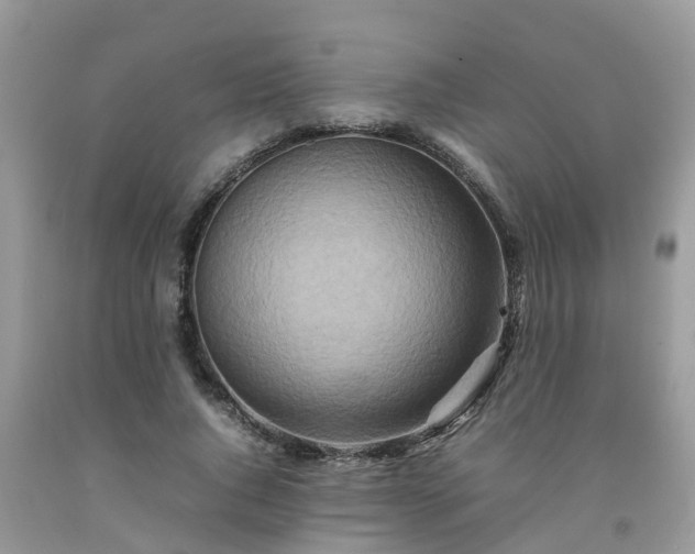 X0000092050736200709191120