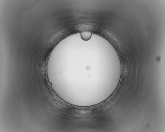 X0000092050737200709191120