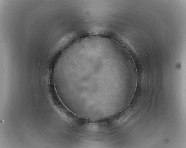 X0000092050738200709191120