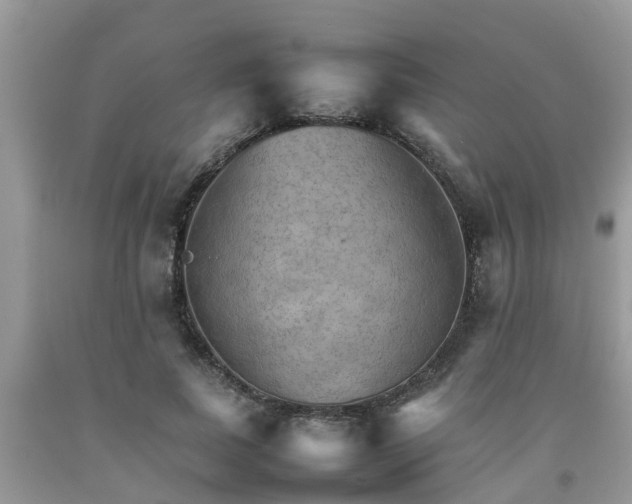 X0000092050739200709191120