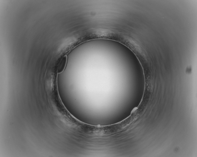 X0000092050740200709191120