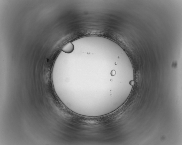 X0000092050741200709191120