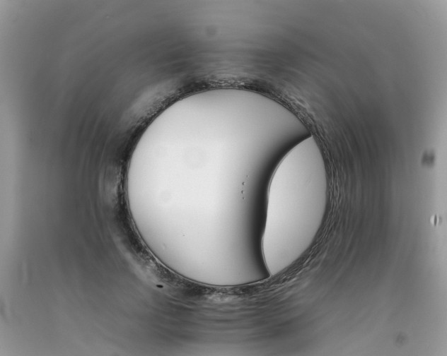 X0000092050742200709191120