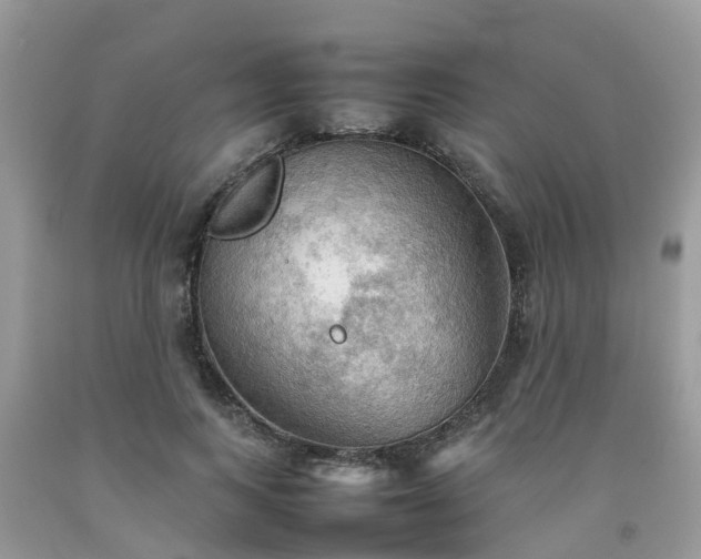 X0000092050743200709191120