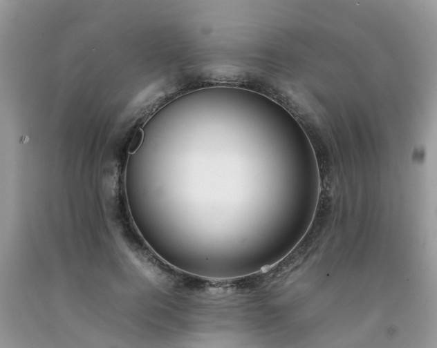 X0000092050744200709191120