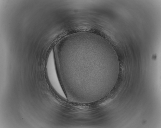 X0000092050745200709191120