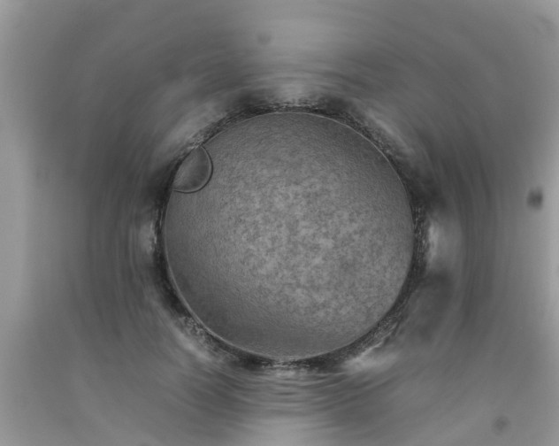 X0000092050746200709191120