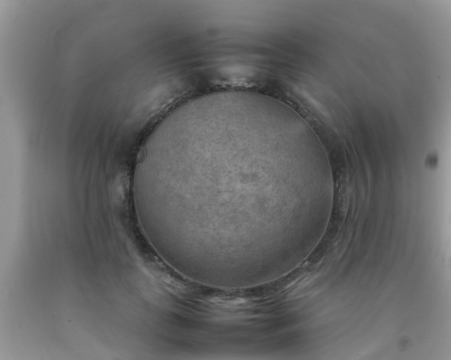 X0000092050747200709191120