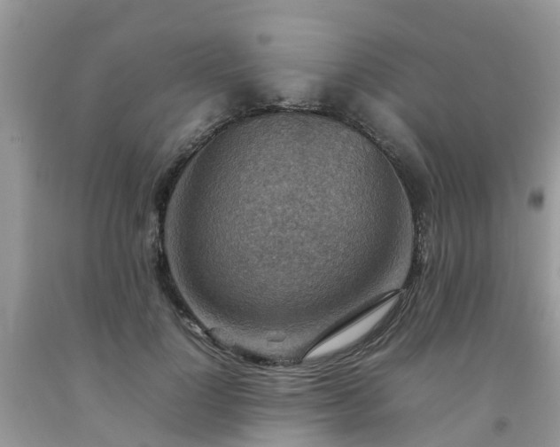 X0000092050748200709191120