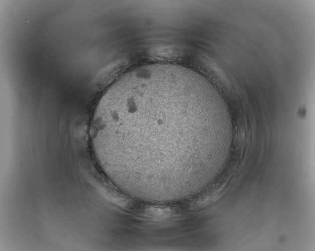 X0000092050749200709191120