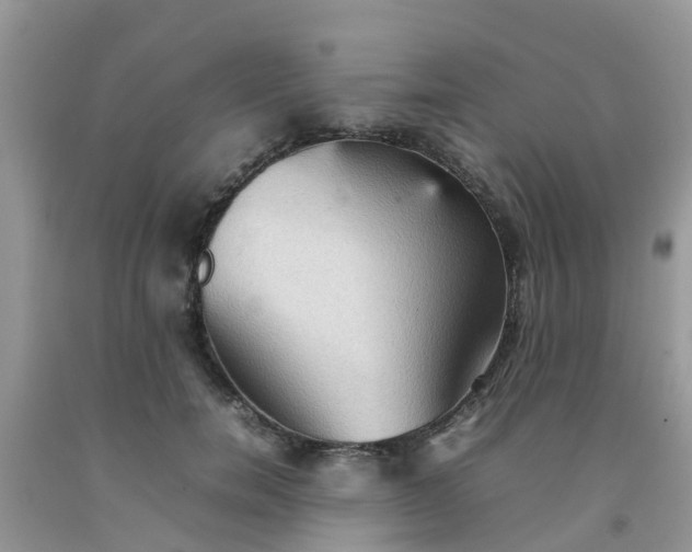 X0000092050750200709191120