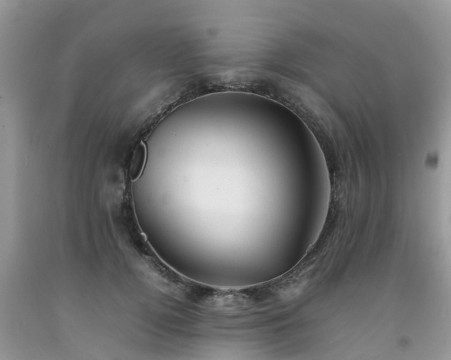 X0000092050752200709191120