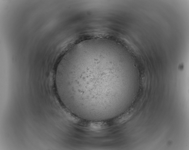 X0000092050757200709191121