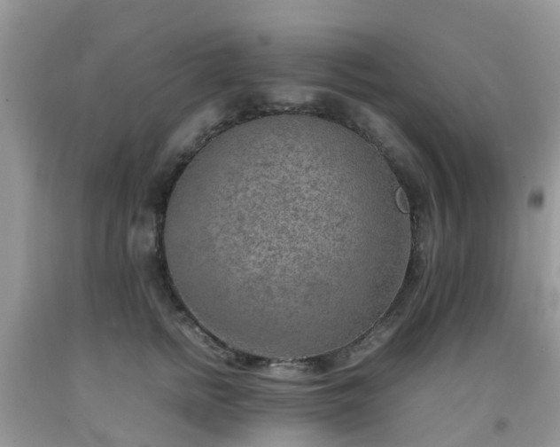 X0000092050758200709191121