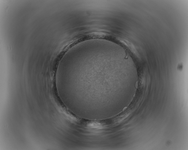 X0000092050759200709191121