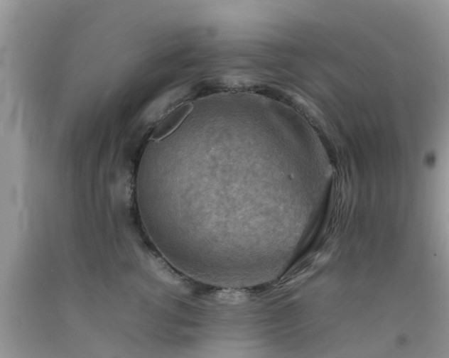 X0000092050762200709191121