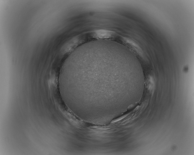 X0000092050763200709191121