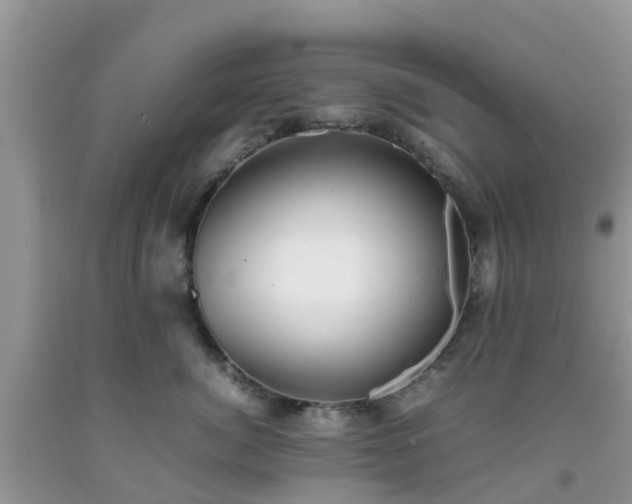 X0000092050764200709191121