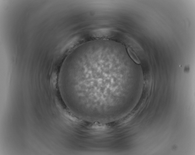 X0000092050767200709191121