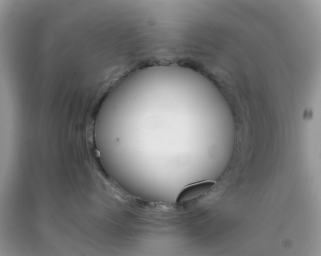 X0000092050768200709191121