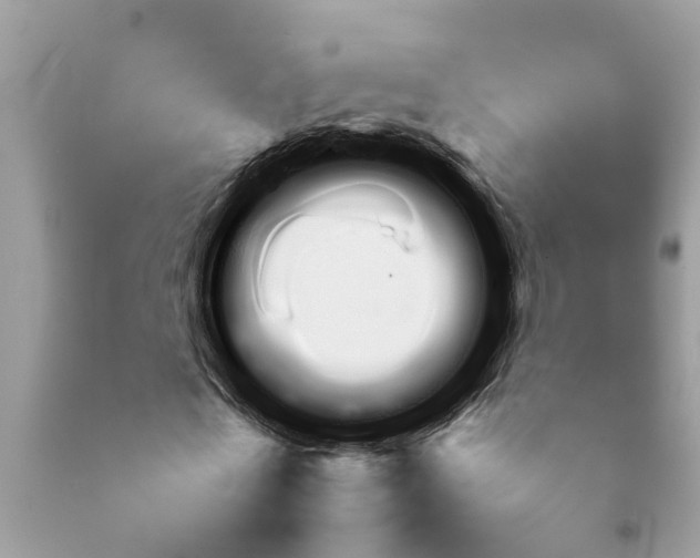 X0000092050769200709191120