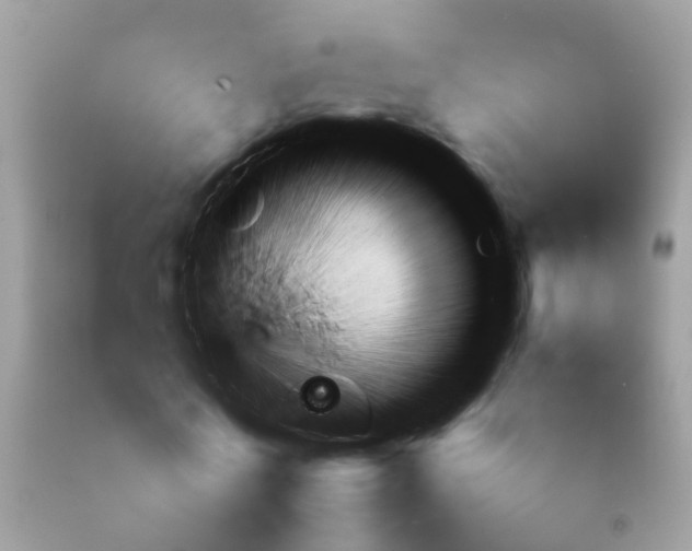 X0000092050770200709191120