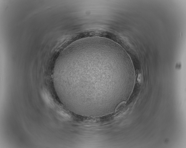 X0000092050771200709191120