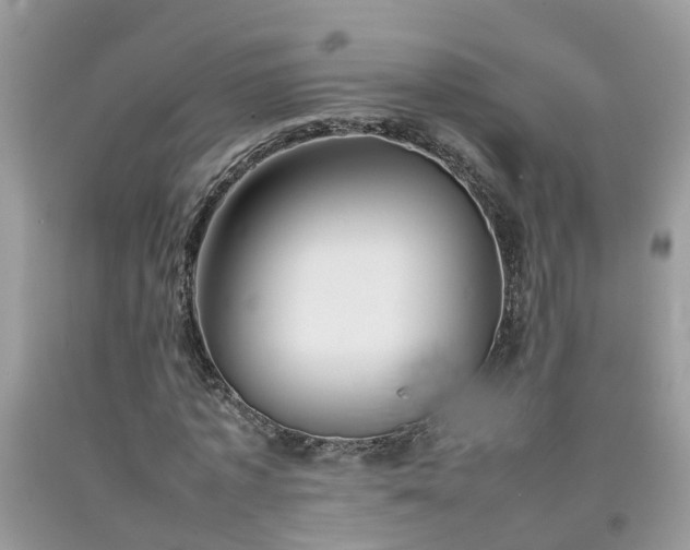 X0000092050773200709191120