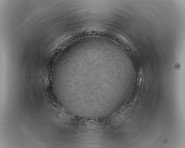 X0000092050774200709191120