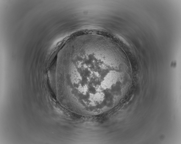 X0000092050775200709191120