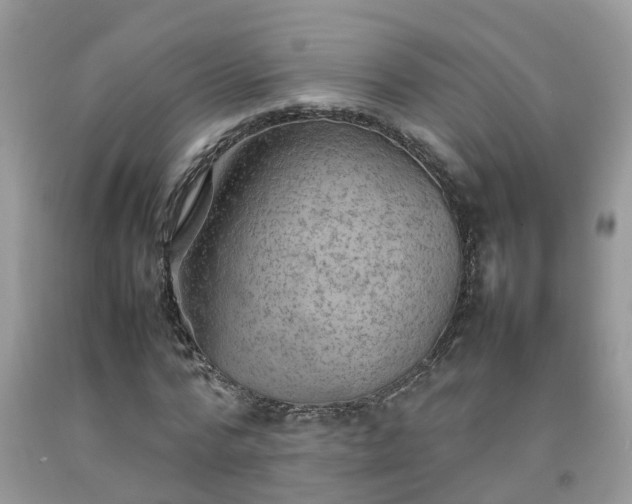 X0000092050776200709191120