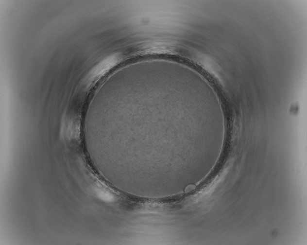 X0000092050777200709191120