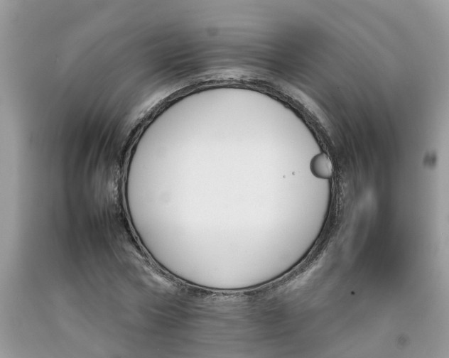 X0000092050778200709191120