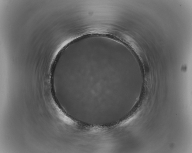 X0000092050779200709191120