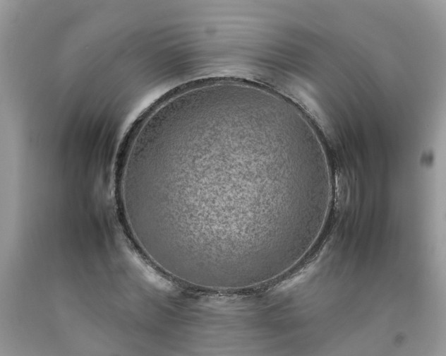 X0000092050780200709191120