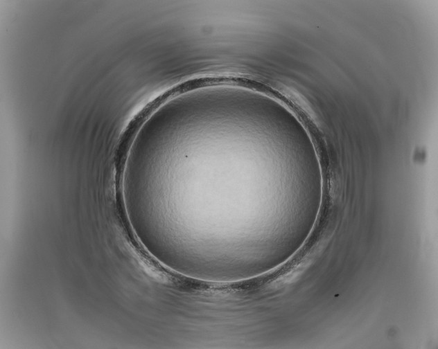 X0000092050781200709191120