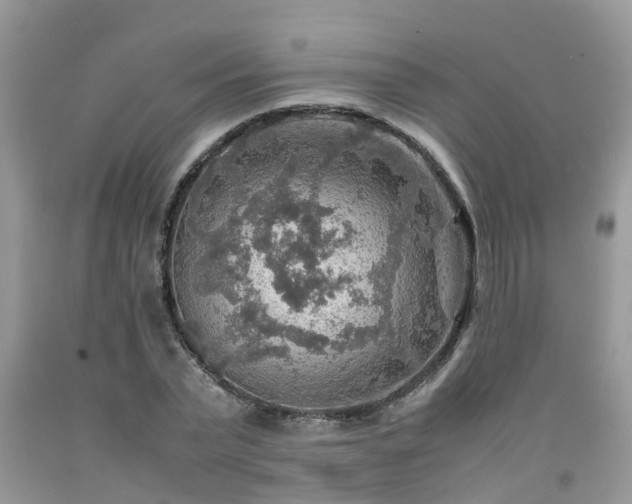 X0000092050783200709191120