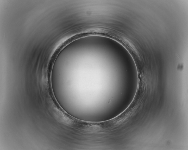 X0000092050784200709191120