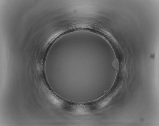 X0000092050785200709191120