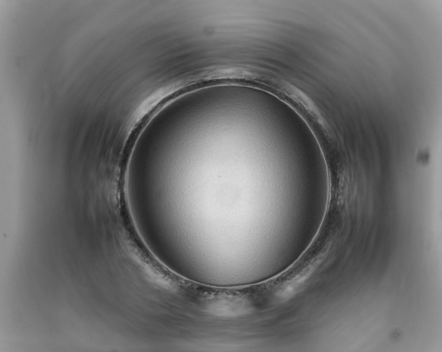 X0000092050786200709191120