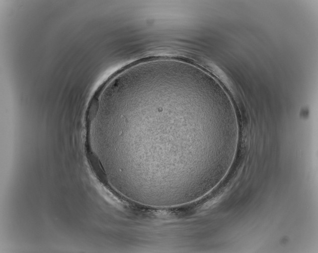 X0000092050787200709191120