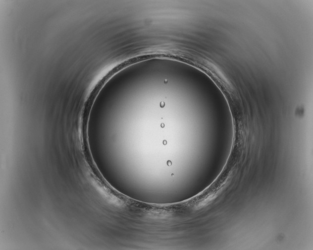 X0000092050788200709191120