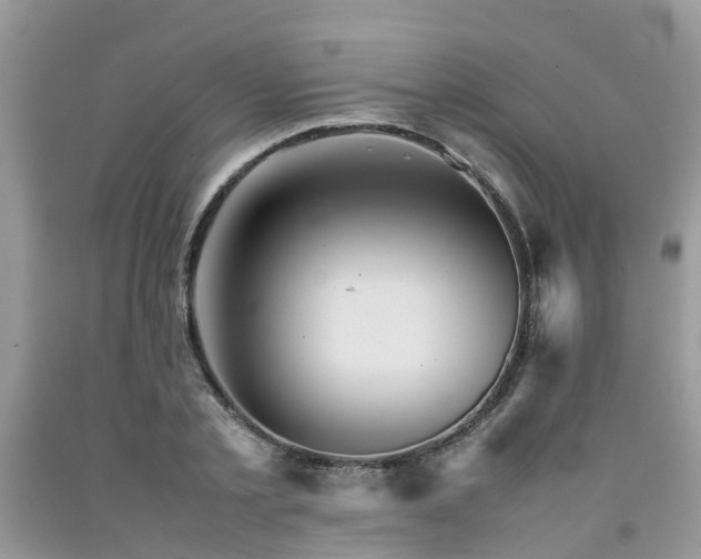 X0000092050789200709191120