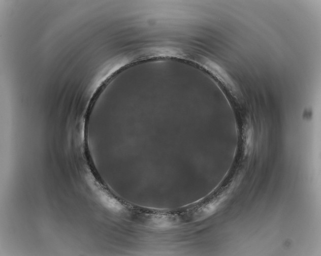 X0000092050790200709191120