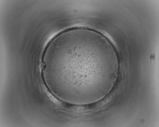 X0000092050791200709191120