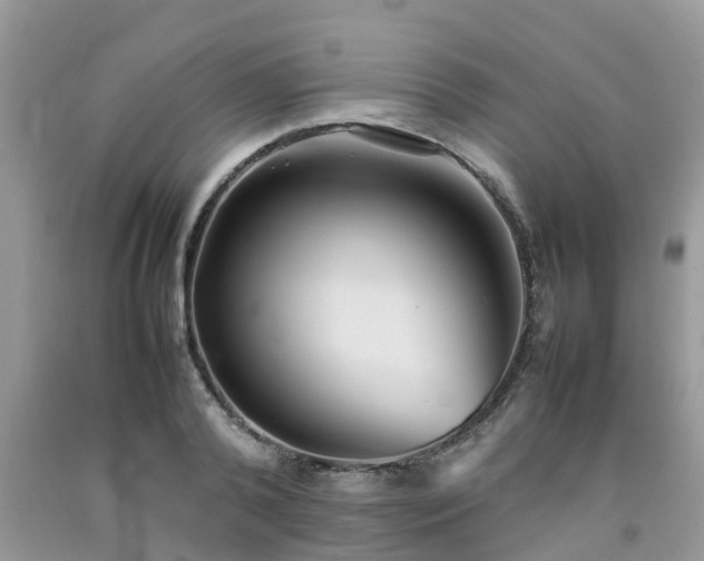 X0000092050792200709191120