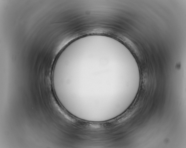 X0000092050794200709191120