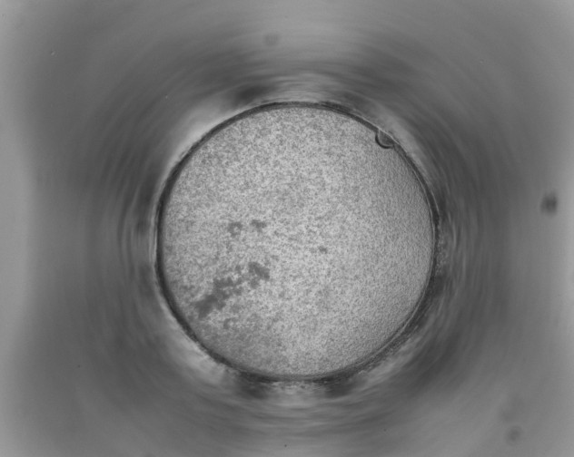 X0000092050795200709191120