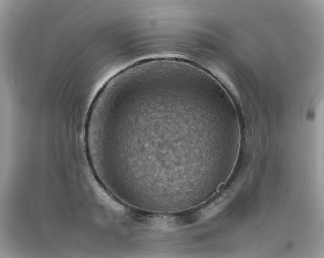 X0000092050797200709191120